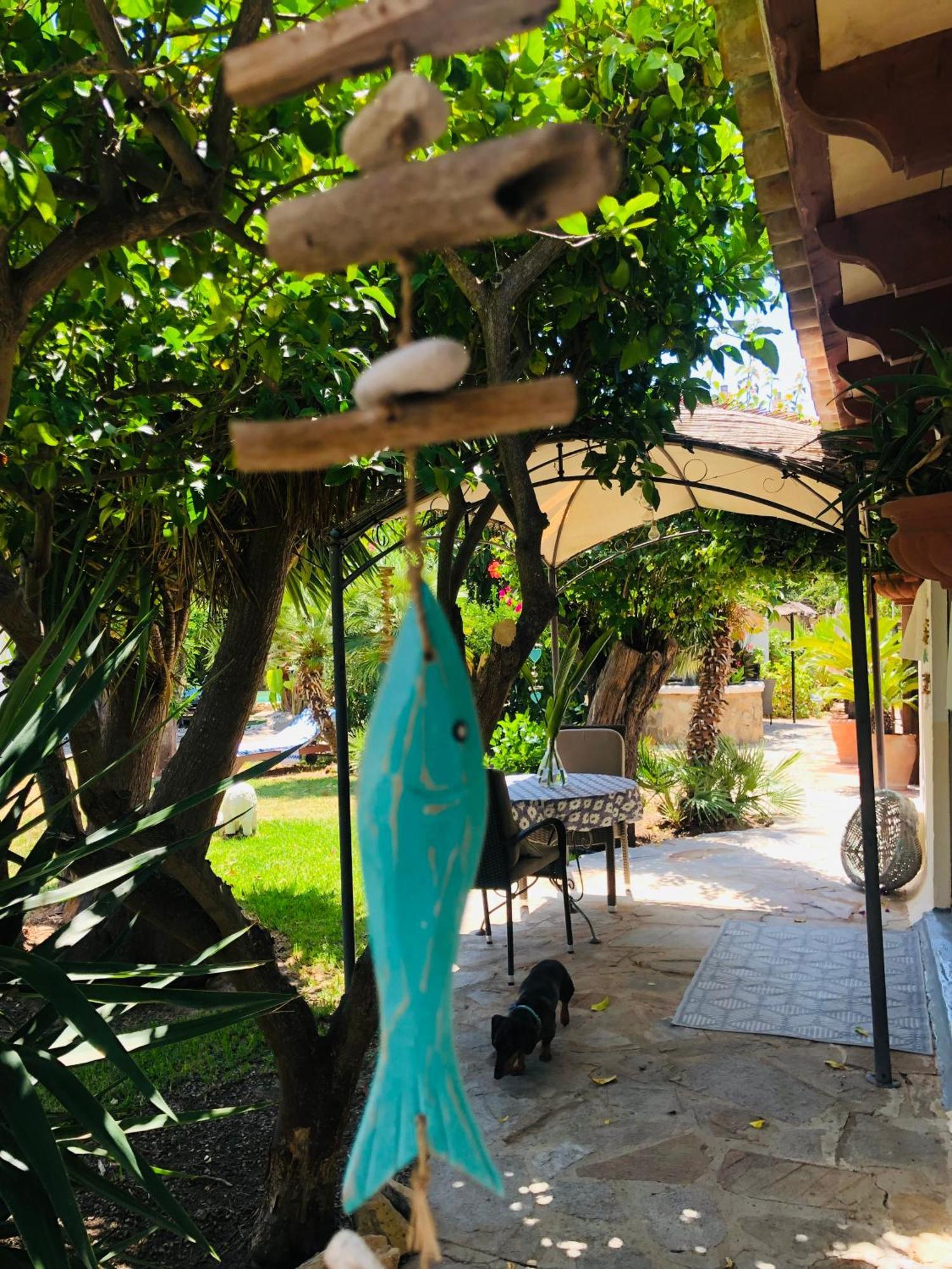 Casita Limon Andratx别墅 外观 照片
