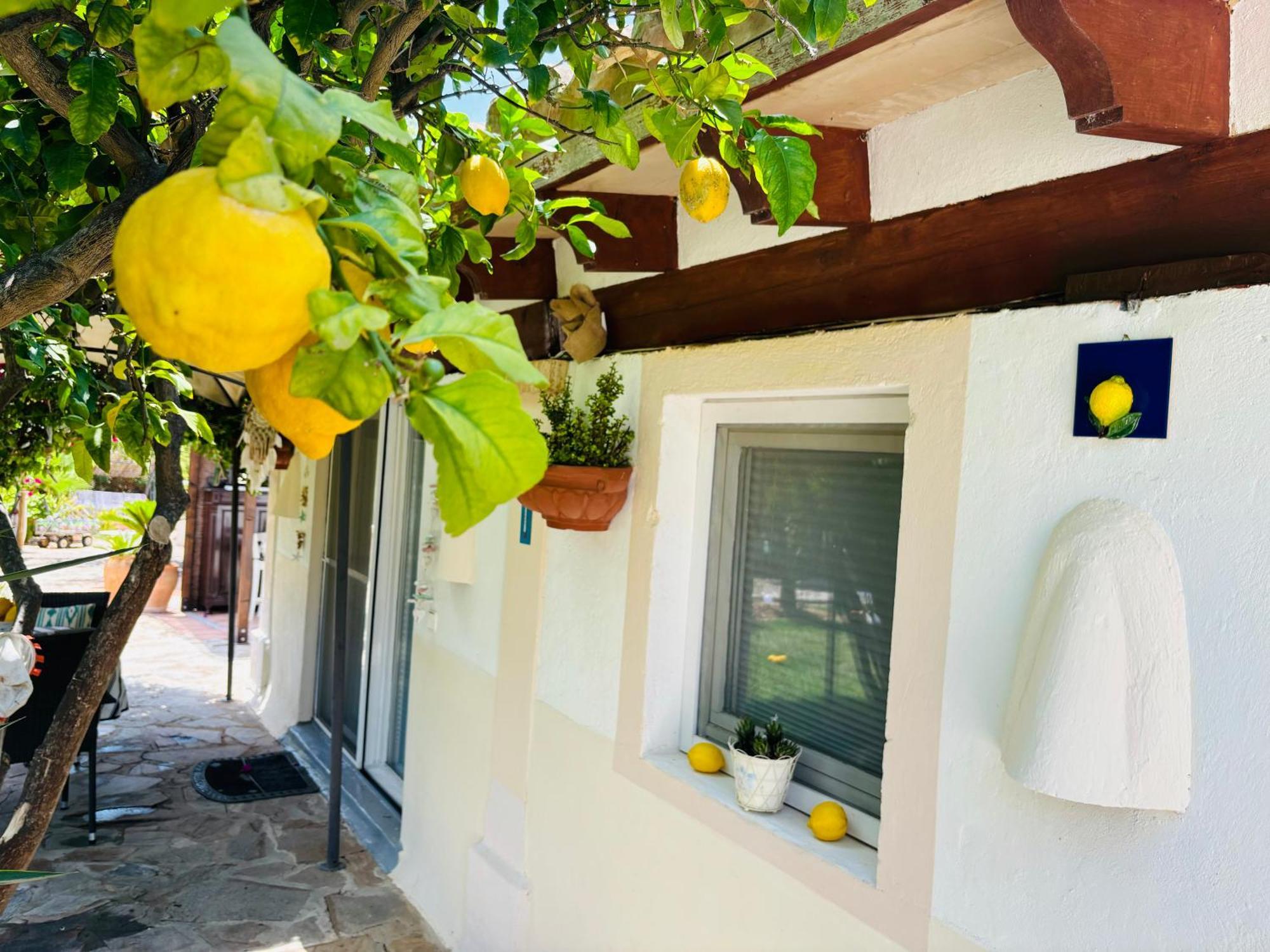 Casita Limon Andratx别墅 外观 照片